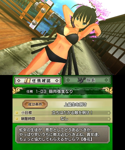 Senran Kagura Burst 3DS Review: Memoirs Of The Well-Endowed