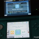 3ds_pic-3