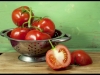 90058_ArtAcademySketchpad_6-tomato-tv