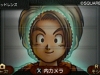 dragon_quest_x_3ds_game-2