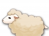 Sheep-2