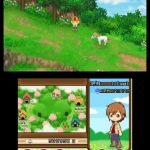 harvest_moon_two_towns-5