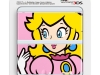 new-3ds-plate-13