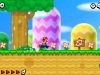 nsmb2-10