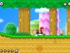 nsmb2-11