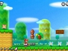 nsmb2-5