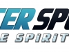 N3DS_WinterSportsFeeltheSpirit_logo
