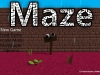 WiiU_Maze_gameplay_06