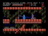 Castlevania3-3DSVC-NES-TBSP_Screen3