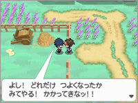 First Pokemon Black/White 2 screenshots