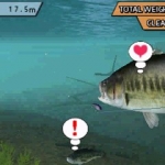 bass_fishing-15