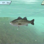 bass_fishing-20