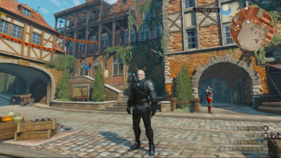 witcher on the switch
