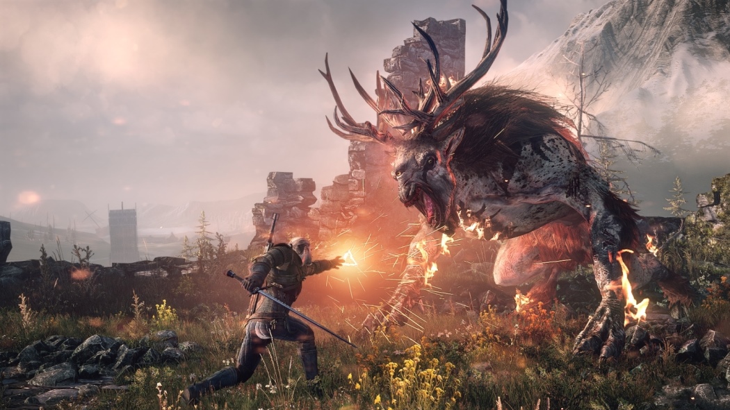The Witcher 3: Wild Hunt not planned 