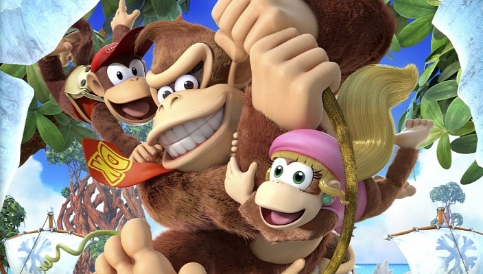 donkey kong tropical freeze co op