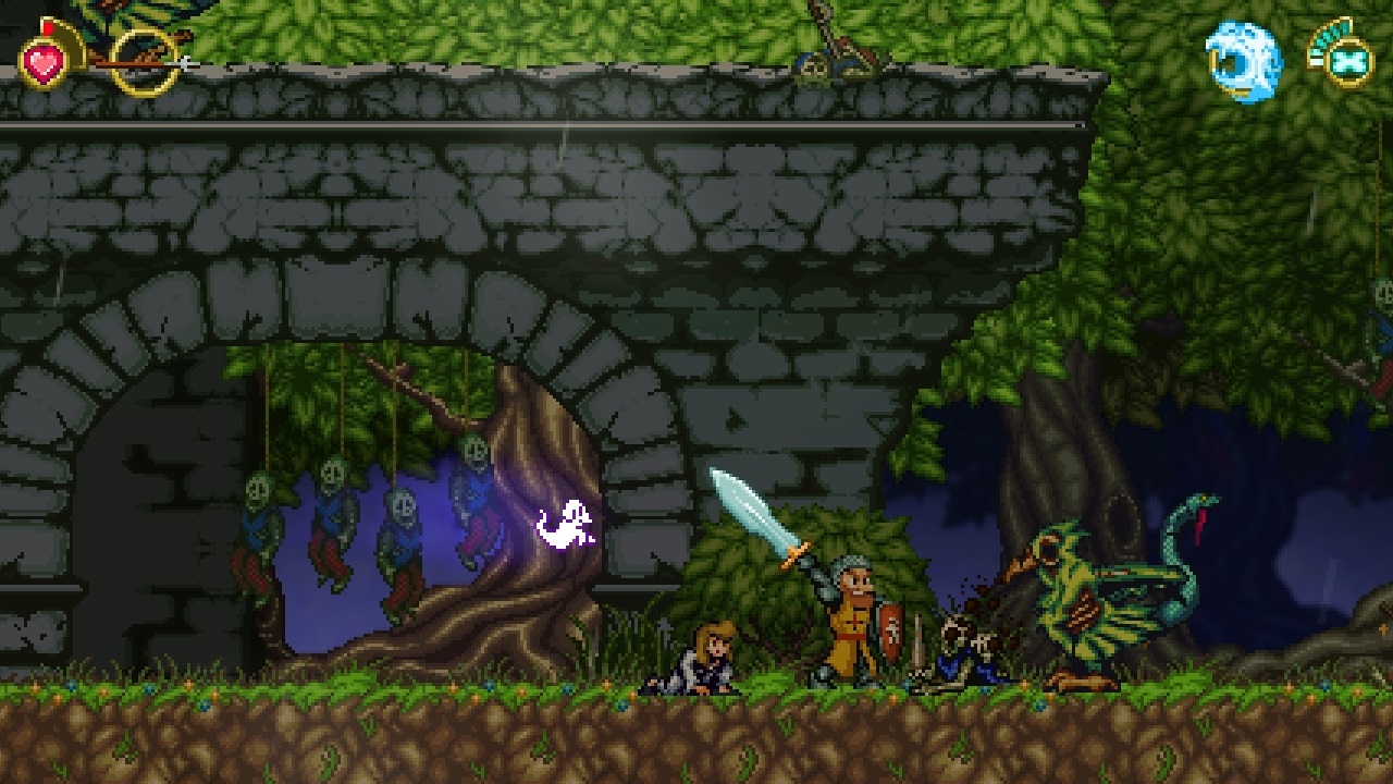 battle princess madelyn wii u