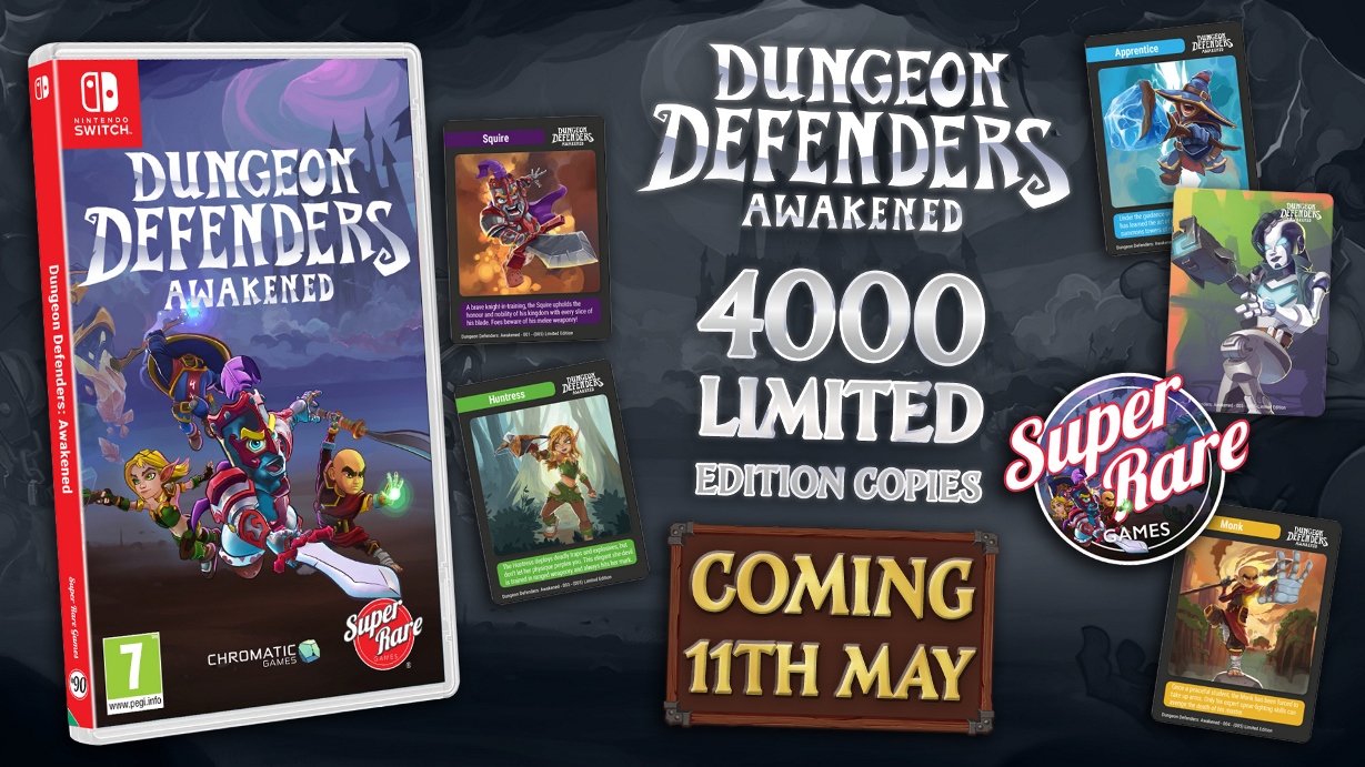 Dungeon Defenders: Awakened physical