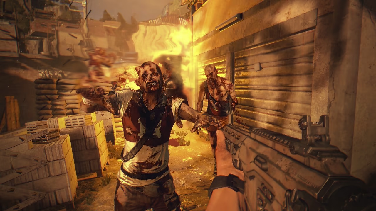 Dying Light Switch frame rate