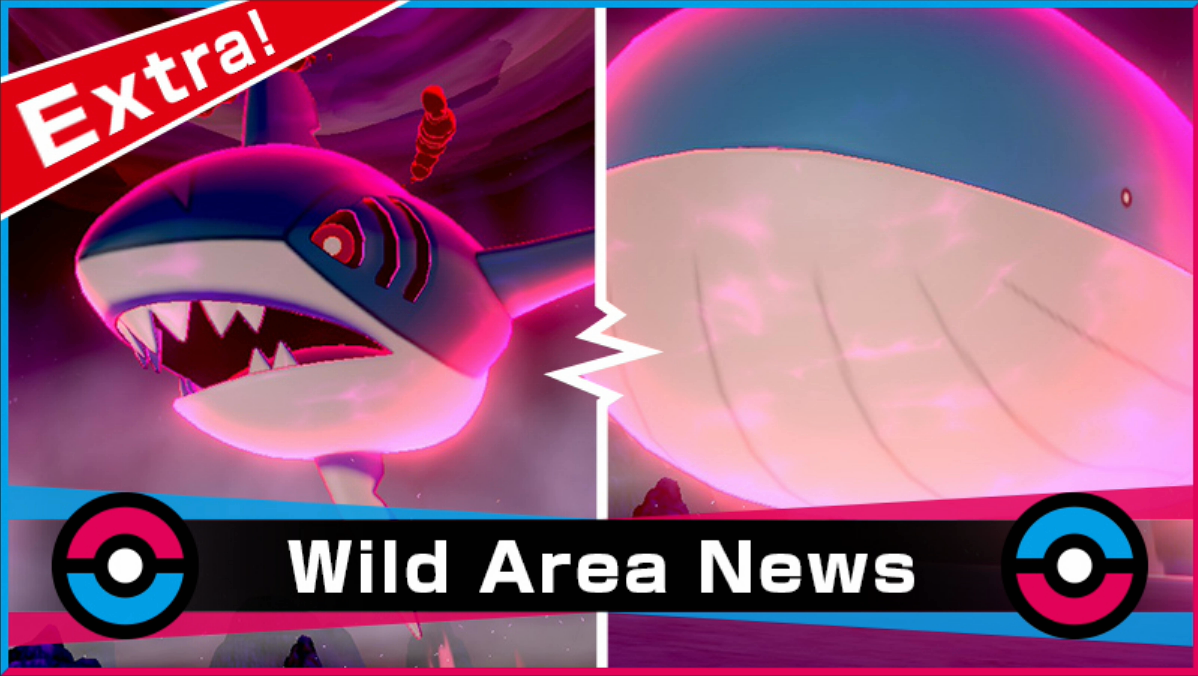 More details about the Wild Area in Pokemon Sword/Shield and shiny