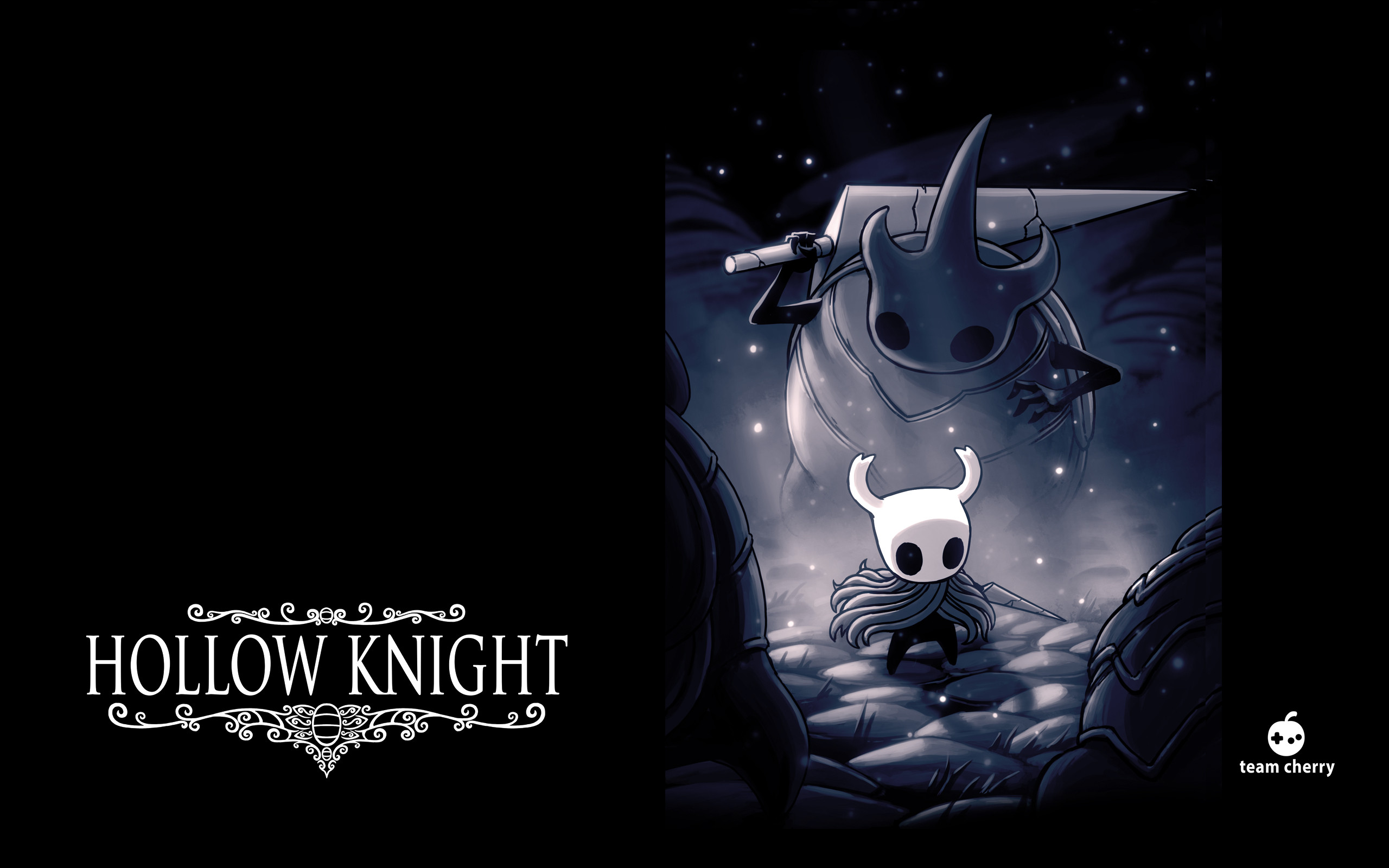 Wii u 2024 hollow knight