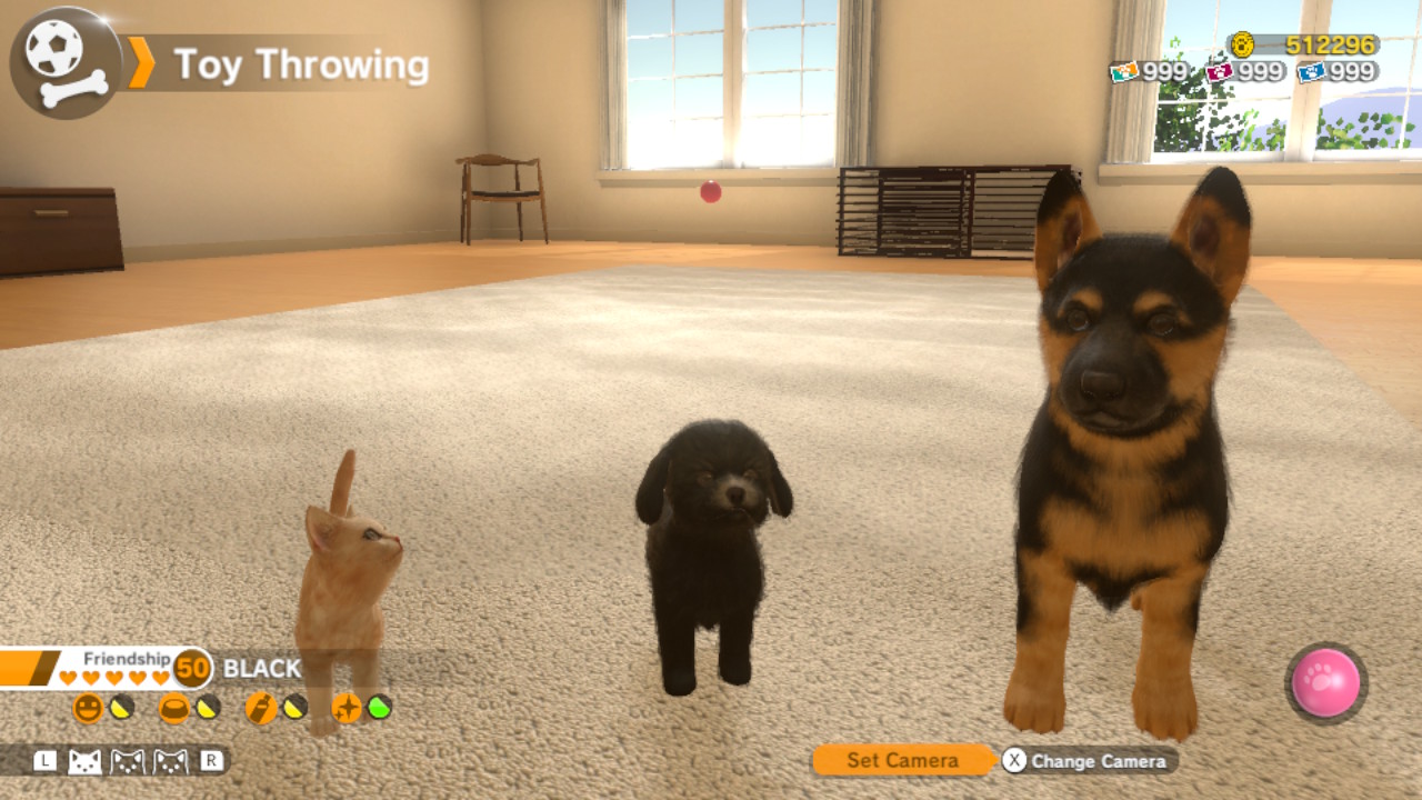Little Friends: Puppy Island  Nintendo Switch Gameplay 