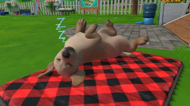 Little Friends: Puppy Island release date