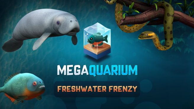 Megaquarium Freshwater Frenzy