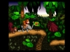 New3DS_VC_DonkeyKongCountry_gameplay_01