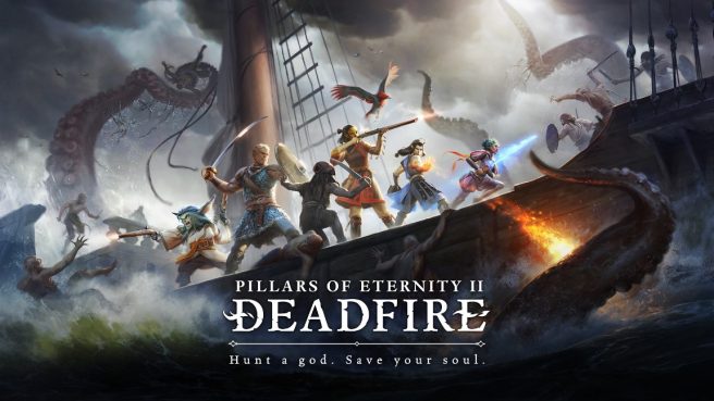 Pillars of Eternity II Switch