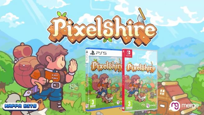 Pixelshire physical
