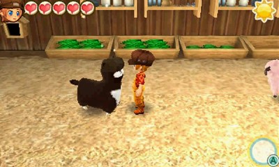 Story of Seasons: Trio of Towns details and screenshots - Inari's ...