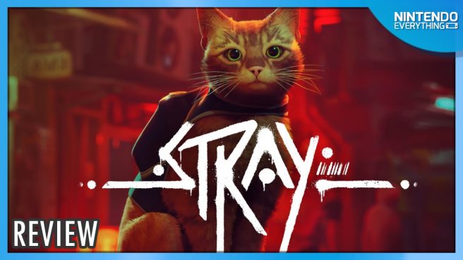 Stray review