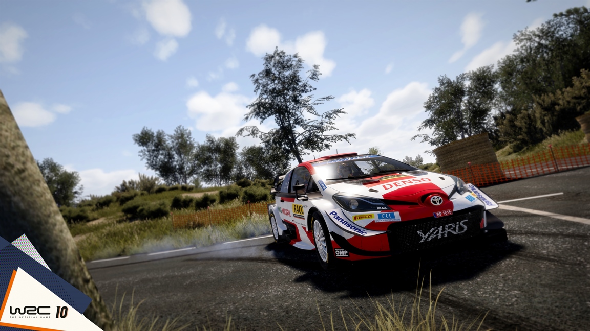 wrc 10 bugs