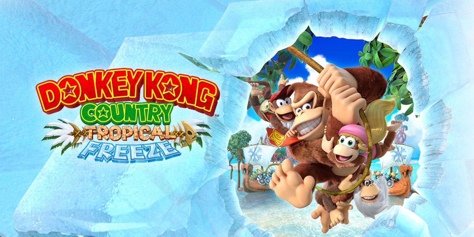 download donkey kong tropical freeze wii u