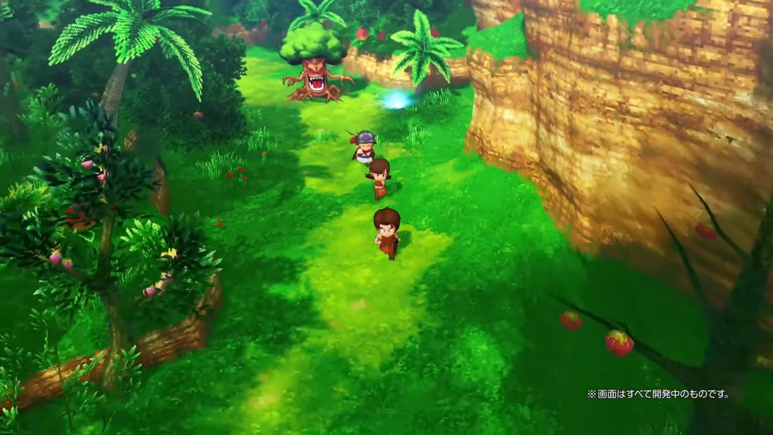 Dragon Quest X Offline revela detalhes sobre personagens e gameplay