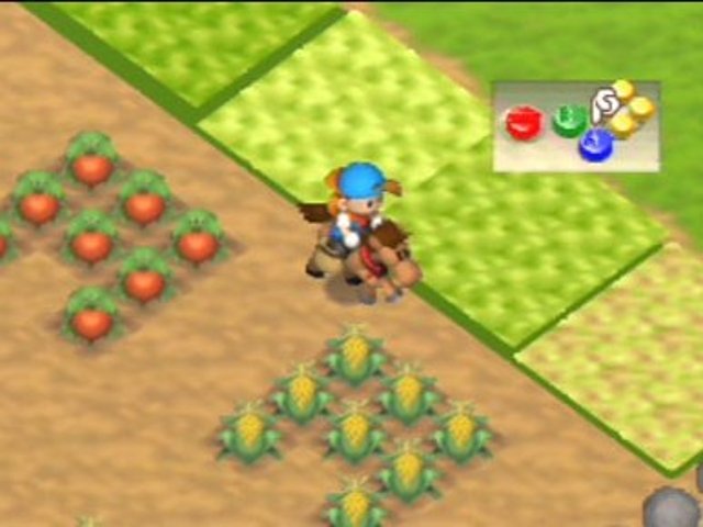 Harvest Moon 64, Nintendo