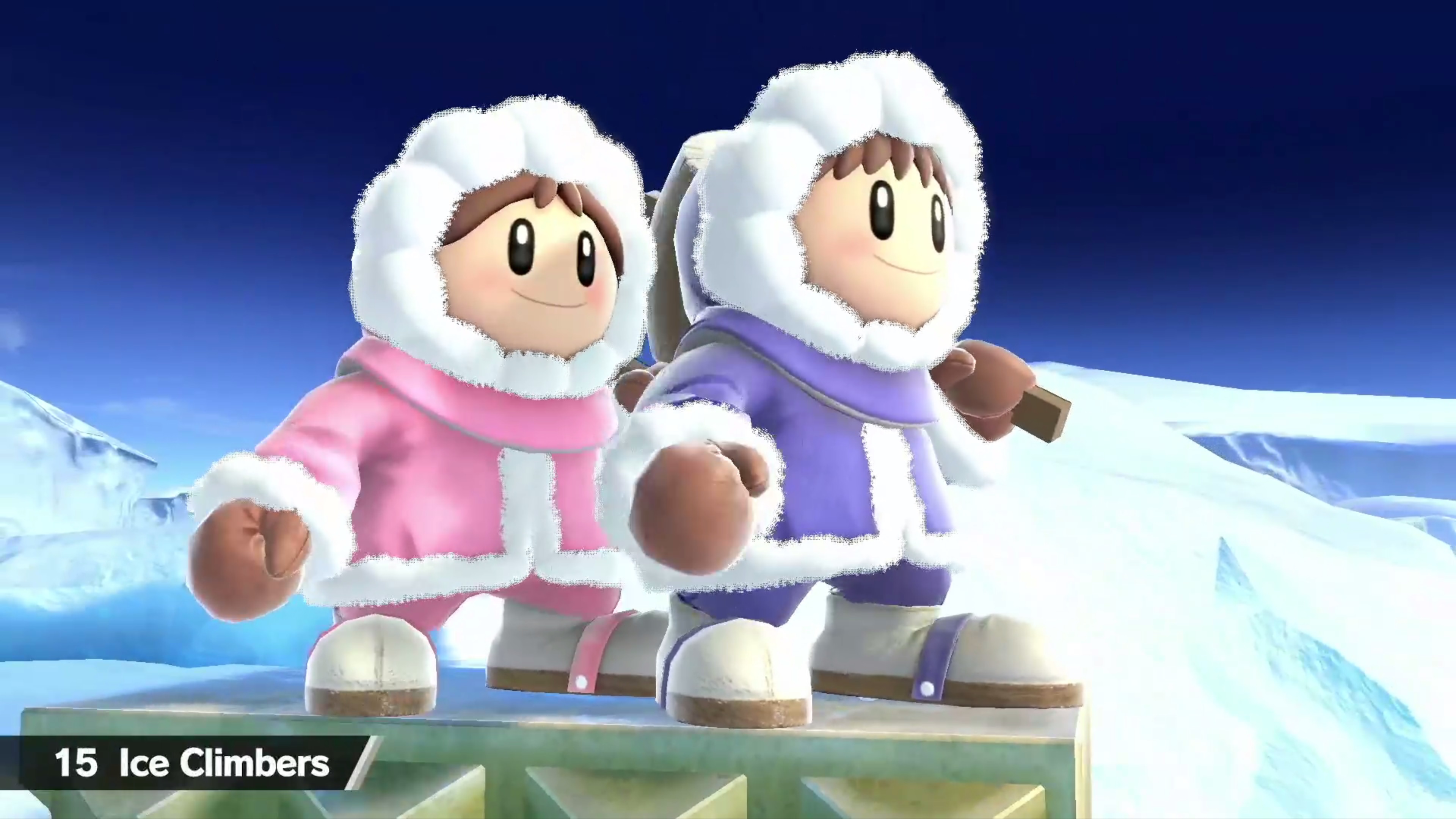 Super Smash Bros. for Switch - Ice Climbers are back.