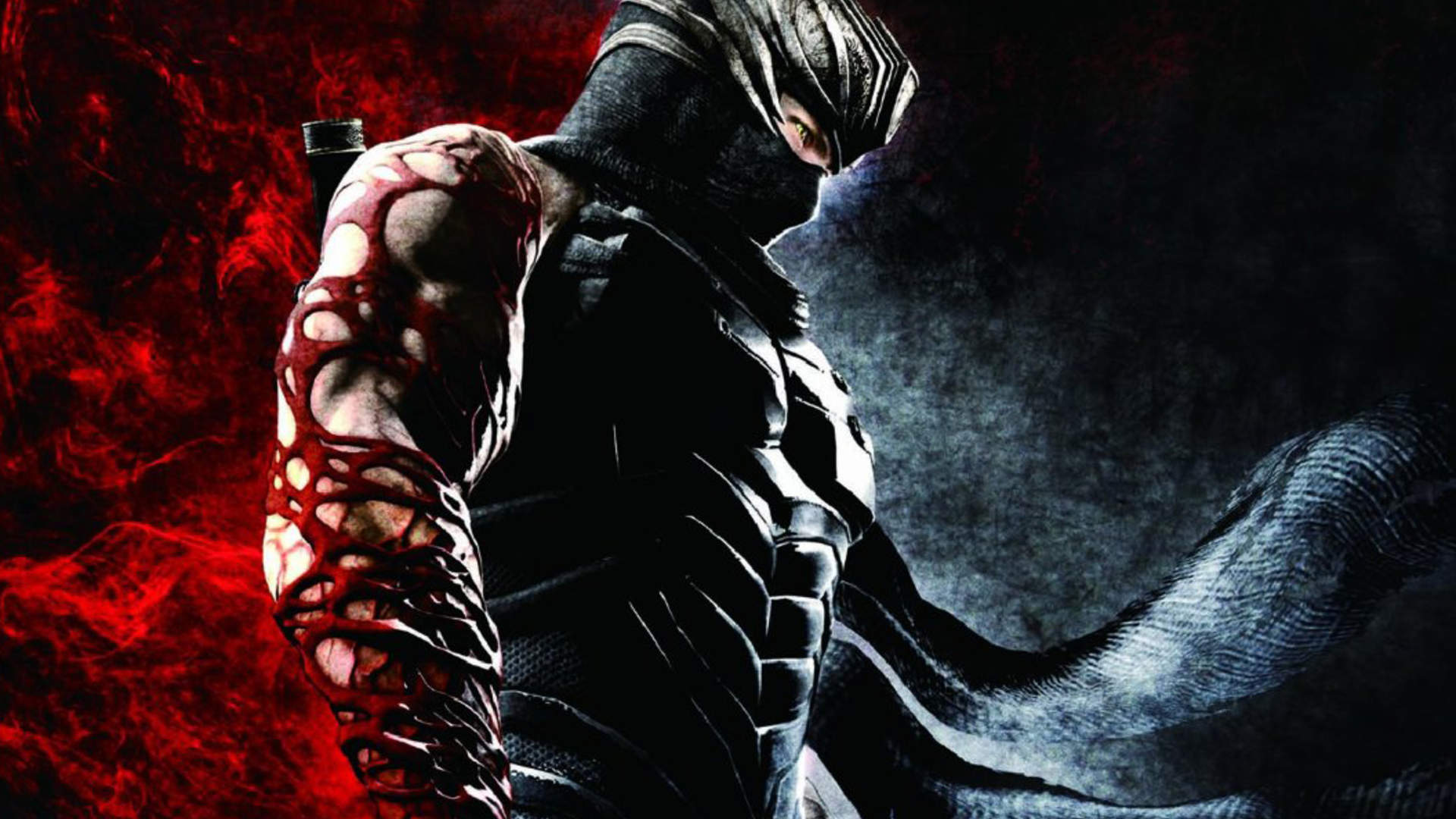 Как установить ninja gaiden