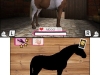 N3DS_HorseLife4_01