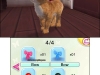 N3DS_MyPets_03