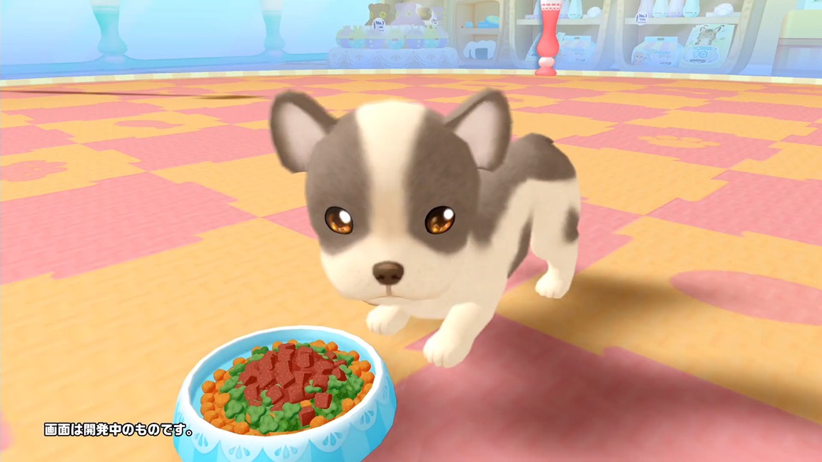 Wan Nyan Pet Shop Every day to interact with cute pets NIntendo