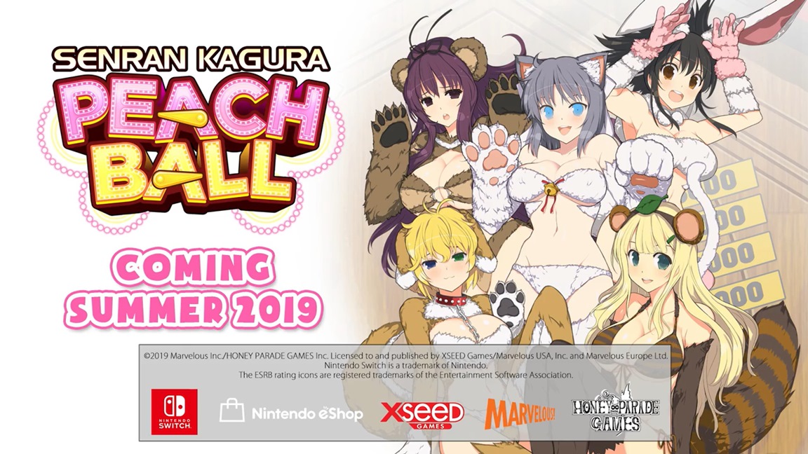 Senran Kagura Peach Ball Officially Heading To The West – NintendoSoup