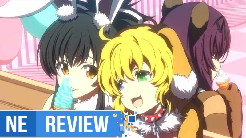 Senran Kagura: Peach Ball Review - Ani-Game News & Reviews