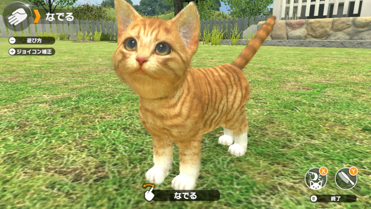 First Little Friends: Dogs & Cats details and screenshots