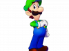 Mario_Luigi_Irmandade_3