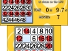 3DS_BingoCollection_screen_02