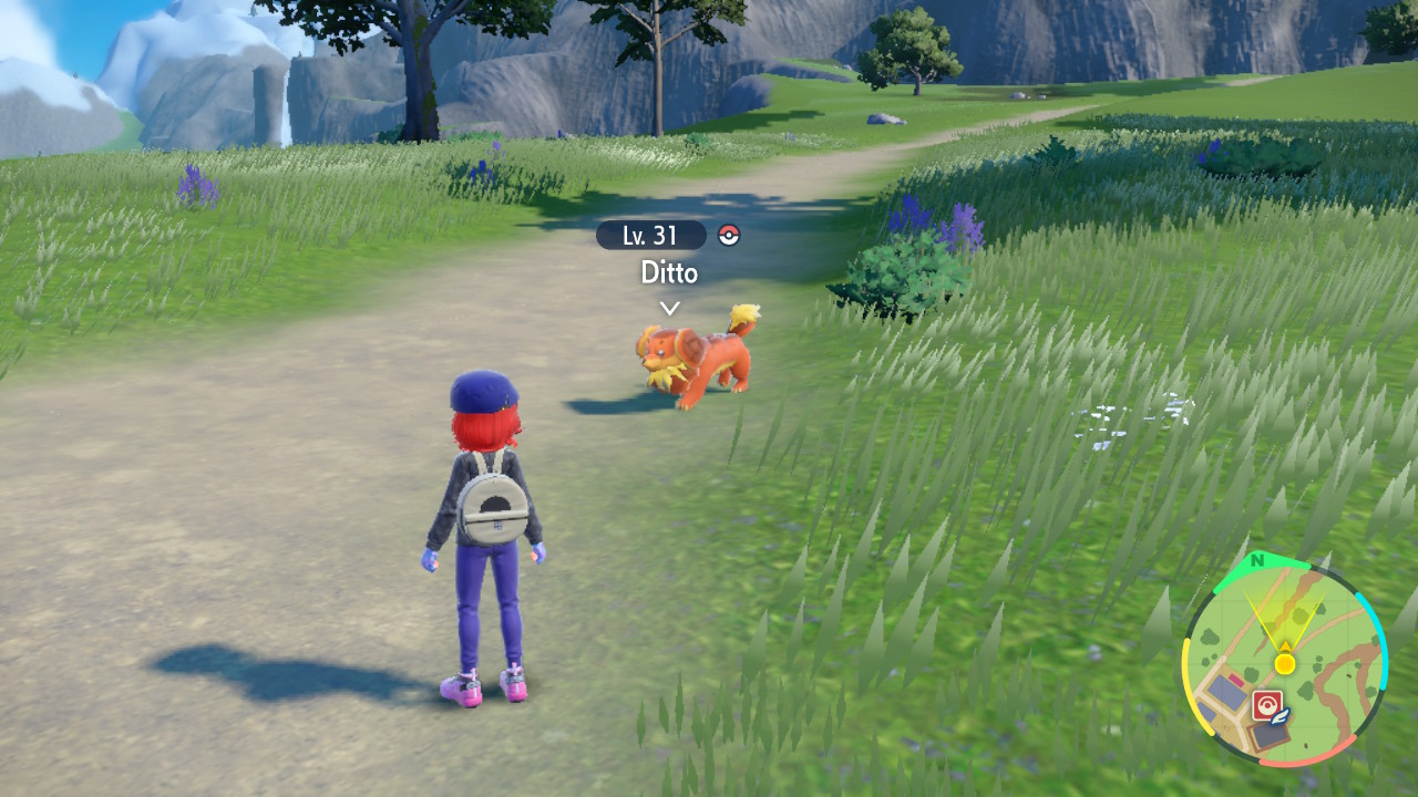 How to Easily Spot Ditto and Zorua in Pokémon Scarlet and Violet