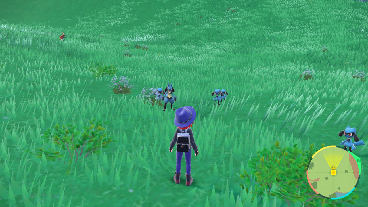 Pokemon Scarlet Violet Riolu location