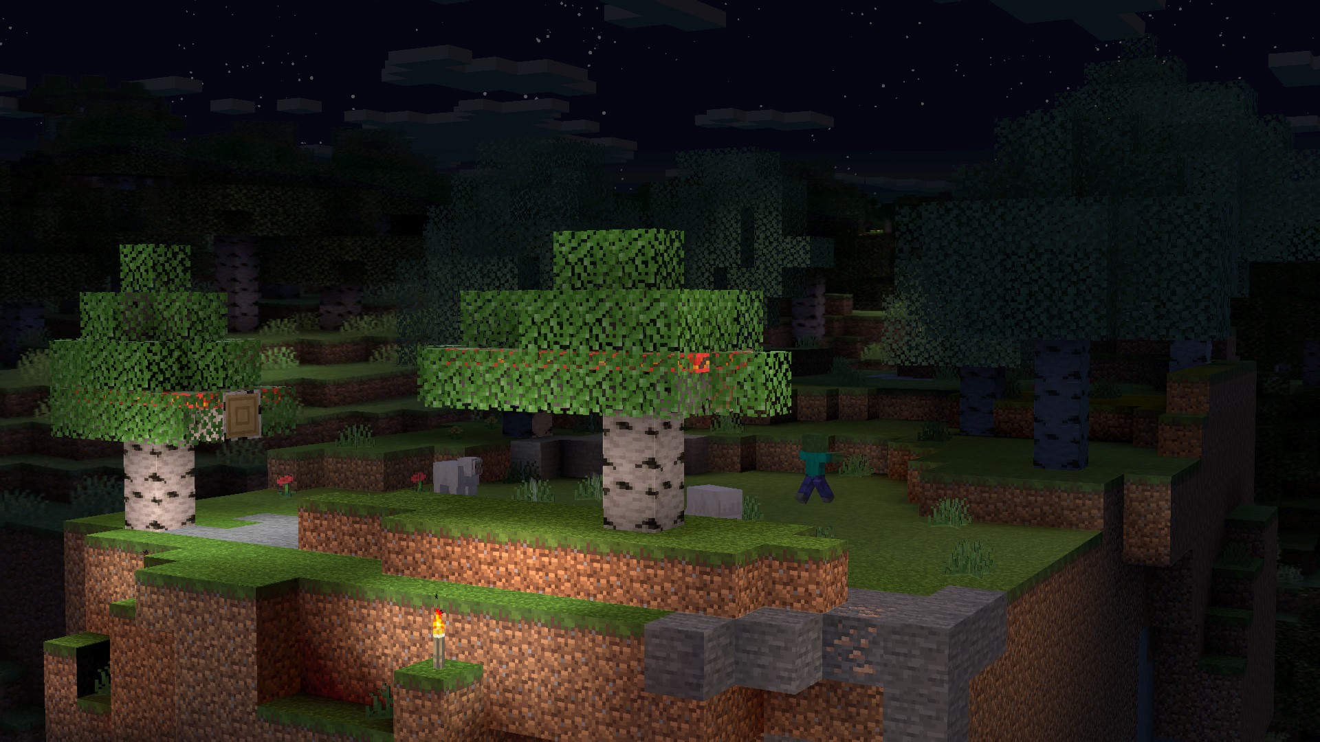 Steve_Stage_2d