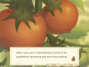 STORY_OF_SEASONS__Pioneers_of_Olive_Town_-_Prologue_2